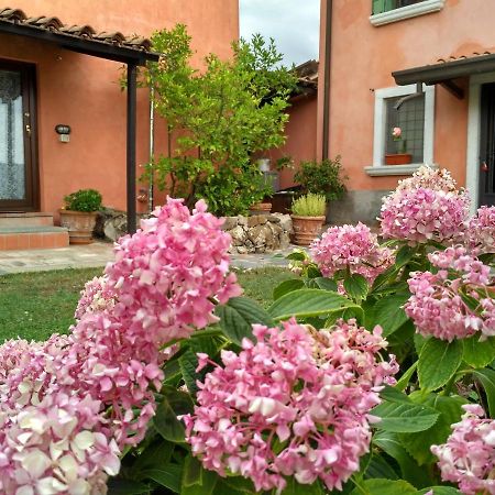 B&B Dama Sarzana Exterior photo