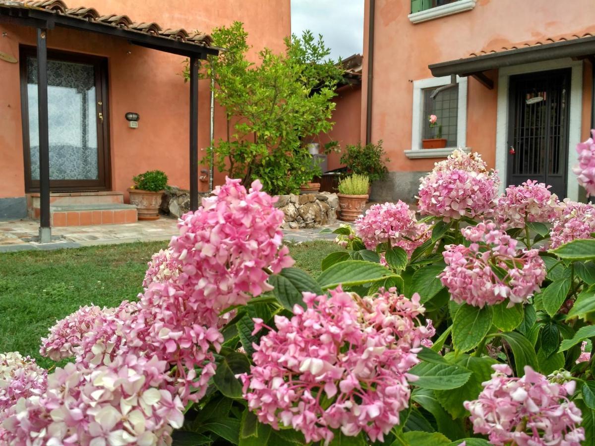 B&B Dama Sarzana Exterior photo